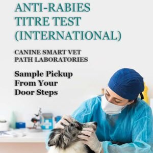 ANTI-RABIES TITRE TEST (INTERNATIONAL) | CANIN SMART VET PATH LABORATORIES - Image 1