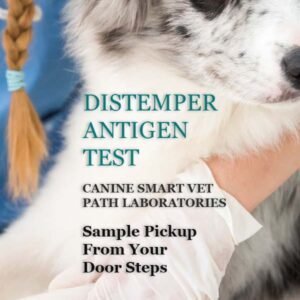 CANINE DISTEMPER ANTIGEN TEST | CANIN SMART VET PATH LABORATORIES - Image 1