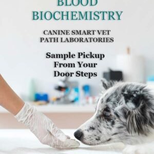 BLOOD BIOCHEMISTRY (CALCIUM, PHOSPHORUS, SODIUM, POTASSIUM) | CANIN SMART VET PATH LABORATORIES - Image 1