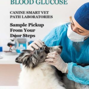 BLOOD GLUCOSE | CANIN SMART VET PATH LABORATORIES - Image 1