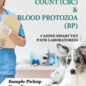 COMPLETE BLOOD COUNT (CBC) AND BLOOD PROTOZOA (BP) | CANINE SMART VET PATH LABORATORIES - Image 1