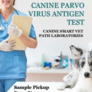 CANINE PARVO VIRUS ANTIGEN TEST | CANIN SMART VET PATH LABORATORIES - Image 1