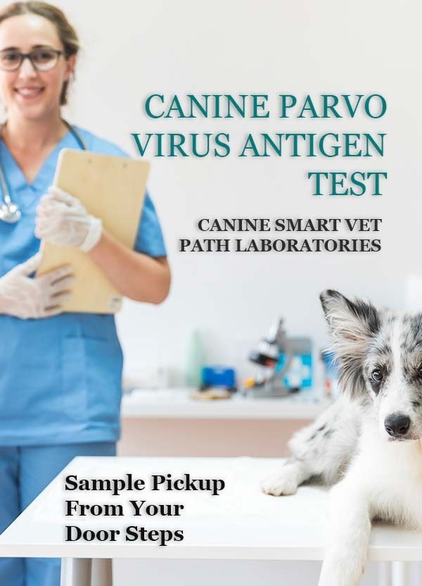 CANINE-SMART-VET-PATH-LABORATORIES-CPVAT-min.jpg