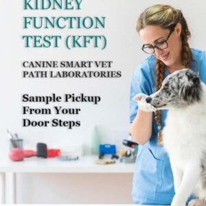 KIDNEY FUNCTION TEST (KFT) | CANIN SMART VET PATH LABORATORIES - Image 1