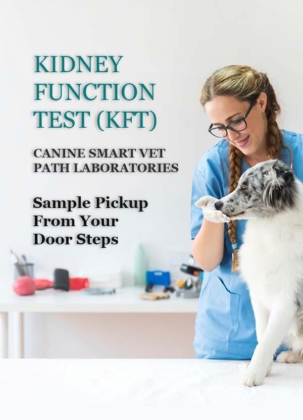 CANINE-SMART-VET-PATH-LABORATORIES-KFT-min.jpg