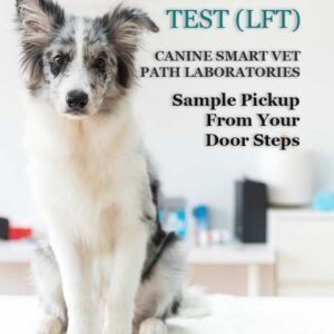 LIVER FUNCTION TEST (LFT) | CANIN SMART VET PATH LABORATORIES - Image 1