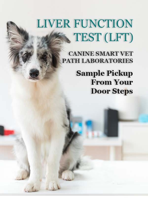 CANINE-SMART-VET-PATH-LABORATORIES-LFT.jpg
