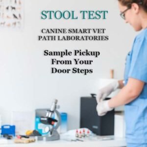 STOOL TEST (PARASITE) FOR DOGS | CANIN SMART VET PATH LABORATORIES - Image 1