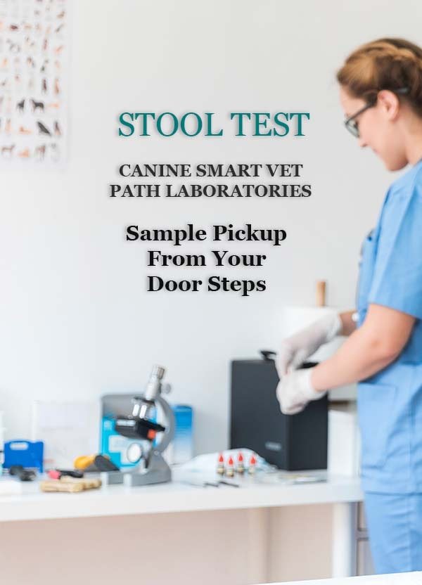 CANINE-SMART-VET-PATH-LABORATORIES-ST.jpg