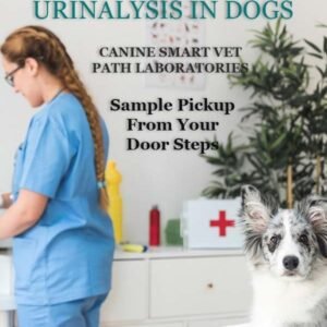 URINALYSIS IN DOGS | CANIN SMART VET PATH LABORATORIES - Image 1