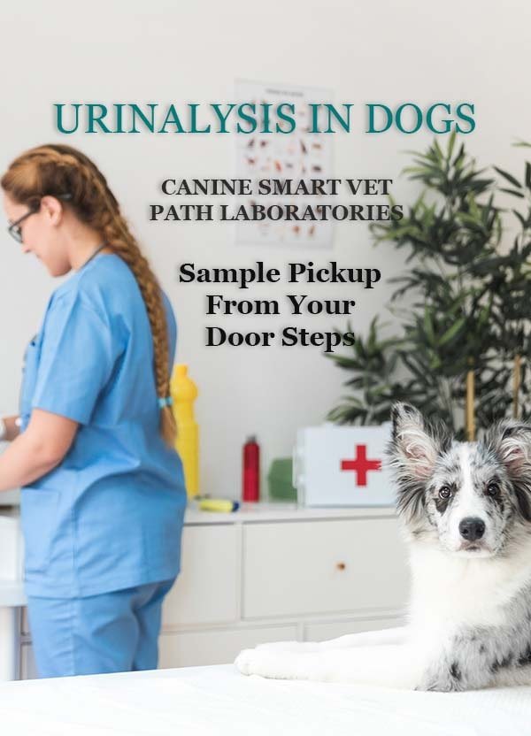 CANINE-SMART-VET-PATH-LABORATORIES-UA-min.jpg