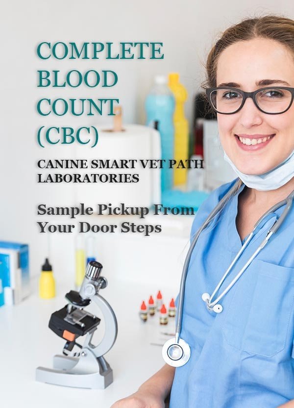 CANINE-SMART-VET-PATH-LABORATORIES.jpg