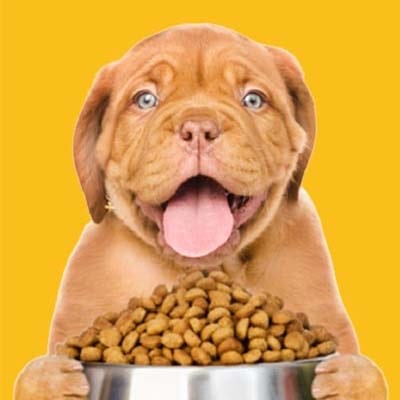 Dog food