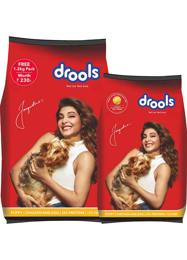 Drools Chicken and Egg Puppy Dry Dog Food, 3kg + 1.2kg Free The Pet Being