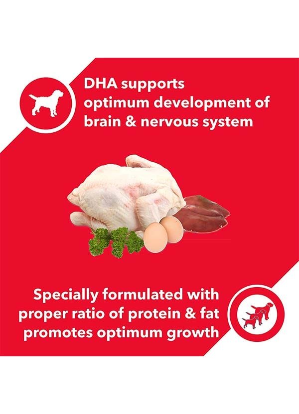 Drools Chicken and Egg Puppy Dry Dog Food, Free The Pet Being