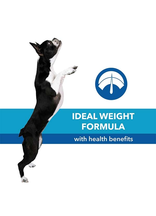 Purepet Chicken and Vegetables Adult Dog Food thepetbeing