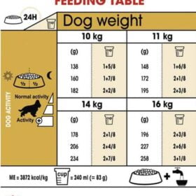 Royal Canin Cocker Adult Dry Dog Food The Pet Being