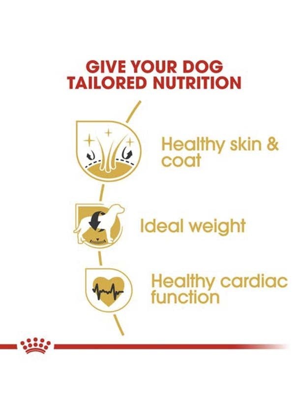 Royal Canin Cocker Adult Dry Dog Food thepetbeing