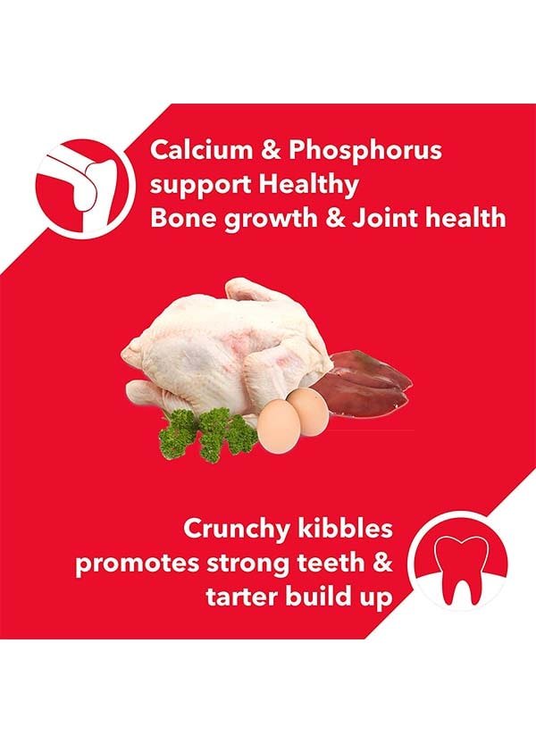 The Pet Being Drools Chicken and Egg Adult Dry Dog Food, 3kg + 1.2kg Free