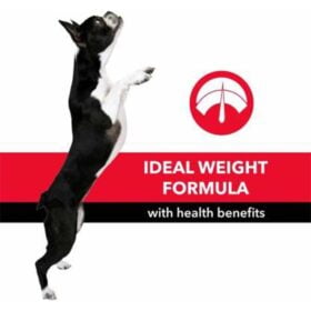 The-Pet-Being-Purepet Chicken & Vegetable Adult Dog Food