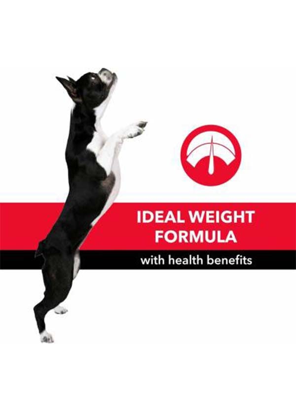 The-Pet-Being-Purepet Chicken & Vegetable Adult Dog Food