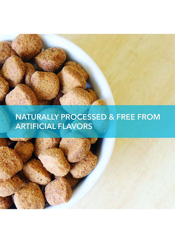 thepetbeing Purepet Chicken and Vegetables Adult Dog Food