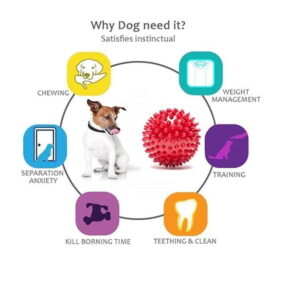 Spiked Ball for All Dogs, Ball Toy For Adult Dogs and Puppies, Ball Toy For Dogs-thepetbeing