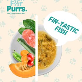 Fin- tastic Fish Feast - Image 2