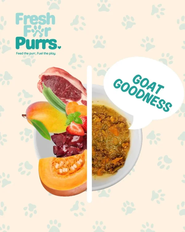 Fresh For Purrs Goat Goodness Cat Food – Fresh Goat Meat Recipe, High Protein Natural Meal & Easy Digest Nutrition for Cats
