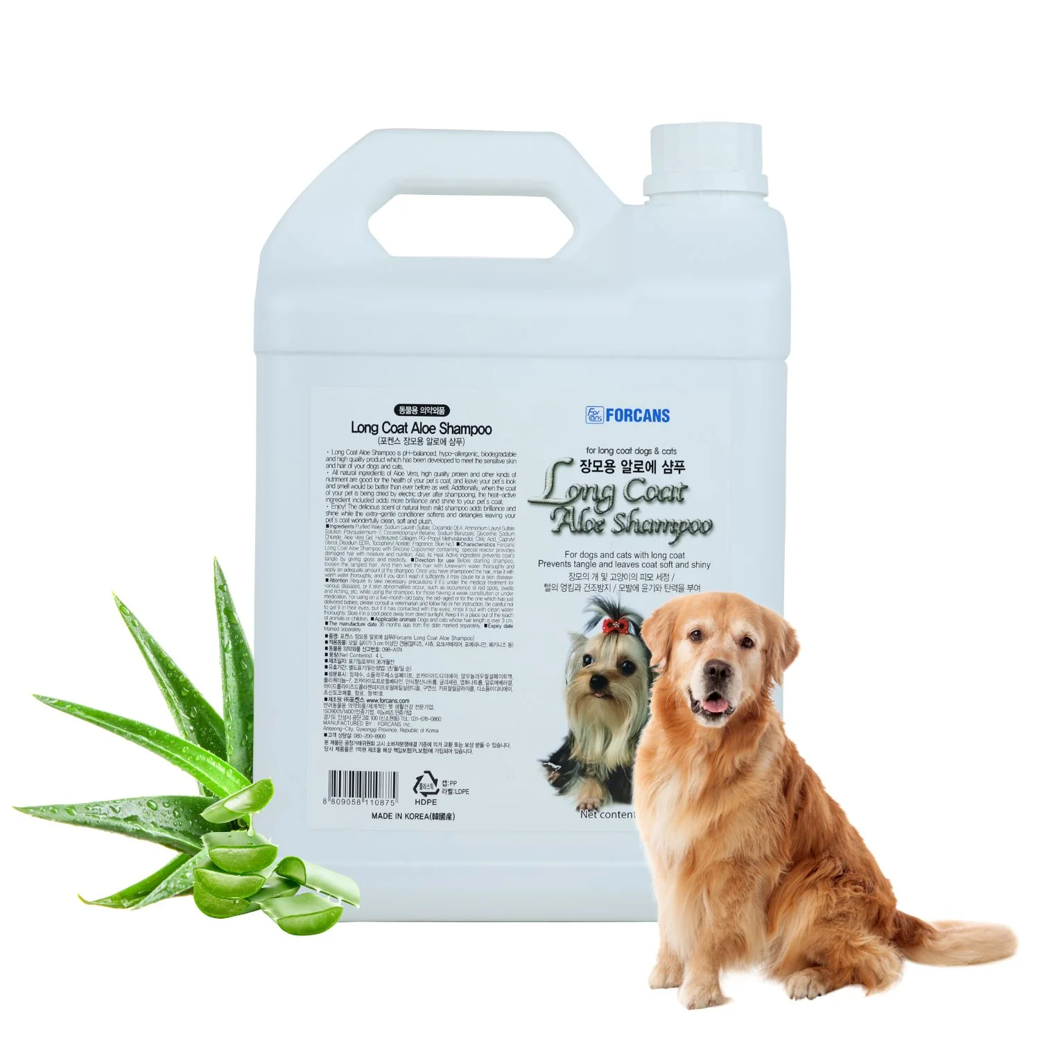 Forcans Long Coat Aloe Shampoo 4L white jug bottle with fresh aloe vera plant and Golden Retriever dog – pH balanced, hypo-allergenic, made in Korea