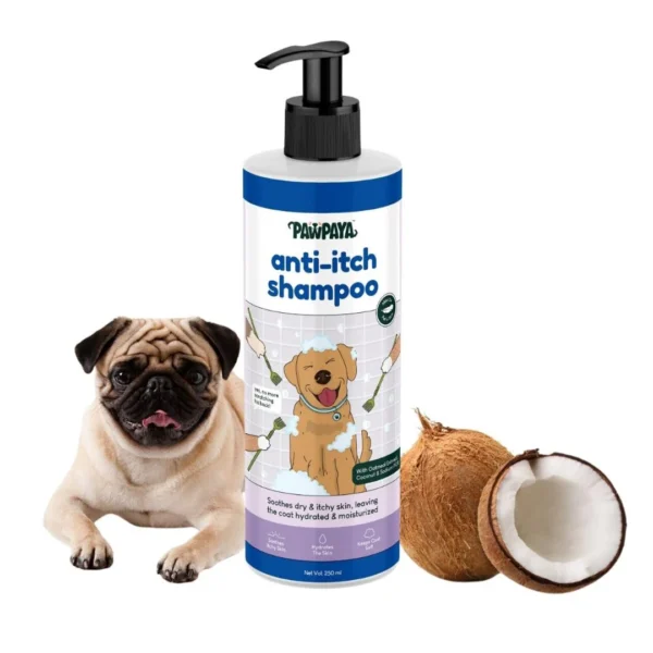 Pawpaya Anti-Itch Dog Shampoo – Oatmeal & Coconut Formula for Itchy, Dry & Irritated Skin, All Breeds (250 ML) Pawpaya Anti-Itch Dog Shampoo – Oatmeal & Coconut Formula for Itchy, Dry & Irritated Skin, All Breeds (250 ML)