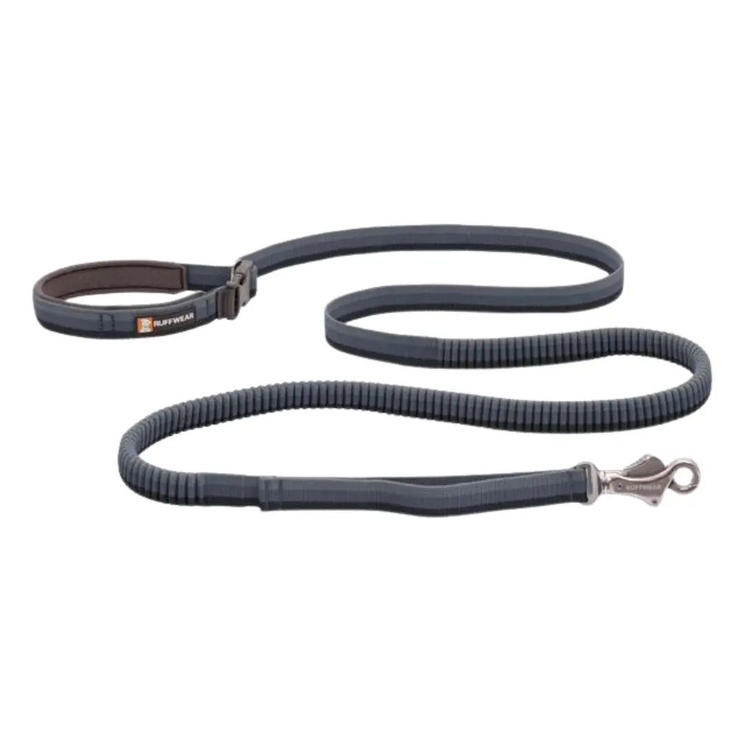 Ruffwear Roamer Dog Leash – Stretch Webbing with Shock Absorption, Adjustable Hands-Free Waist Handle, Traffic Handle, Lockable Talon Clip