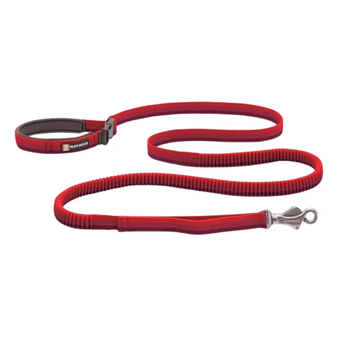 Ruffwear Roamer Dog Leash – Stretch Webbing with Shock Absorption, Adjustable Hands-Free Waist Handle, Traffic Handle, Lockable Talon Clip