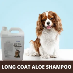 Forcans Long Coat Aloe Shampoo 4L with Cavalier King Charles Spaniel on blue background – long coat aloe shampoo for dogs and cats India