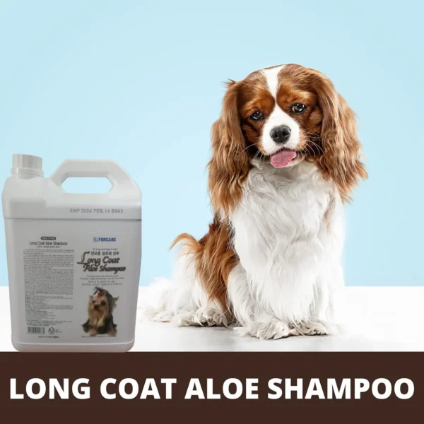 Forcans Long Coat Aloe Shampoo 4L with Cavalier King Charles Spaniel on blue background – long coat aloe shampoo for dogs and cats India