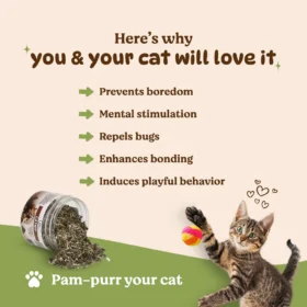 BASIL Pure & Natural Catnip Jar for Cats & Kittens – 100% Natural Field-Dried Catnip Flakes (30g) - Image 2