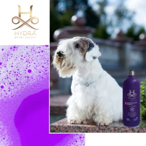 Hydra Groomers Odour Neutralizing Shampoo for Dogs & Cats – Deep Cleaning, Long-Lasting Fragrance, Salon-Grade Formula (5 L) - Image 3