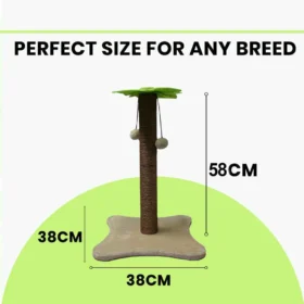 BASIL Cat Coconut Tree Scratcher with Dangler – Sisal Rope Scratching Post & Hanging Ball Toy for Cats & Kittens - Image 3