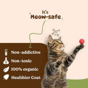 BASIL Pure & Natural Catnip Jar for Cats & Kittens – 100% Natural Field-Dried Catnip Flakes (30g) - Image 3