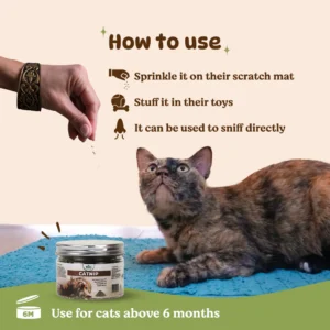 BASIL Pure & Natural Catnip Jar for Cats & Kittens – 100% Natural Field-Dried Catnip Flakes (30g) - Image 4