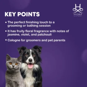 Hydra Groomers Forever Baby Pet Cologne – Soft Floral Fragrance Spray for Dogs & Cats (130 ML) - Image 5