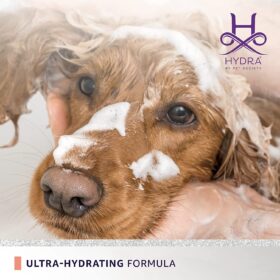 Wet Cocker Spaniel dog covered in conditioning foam during bath using Hydra Groomers Moisturizing Conditioner 5L – ultra-hydrating formula by Pet Society India