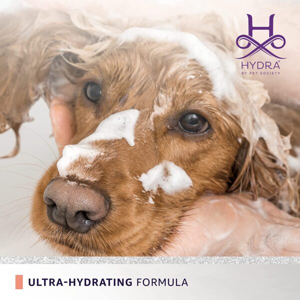 Wet Cocker Spaniel dog covered in conditioning foam during bath using Hydra Groomers Moisturizing Conditioner 5L – ultra-hydrating formula by Pet Society India