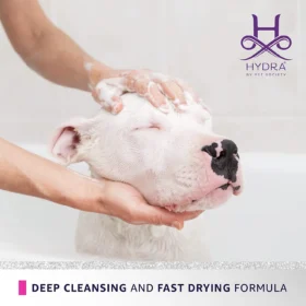 White Bull Terrier being shampooed by groomer's hands using Hydra Groomers Odour Neutralizing Shampoo – deep cleansing and fast drying formula by Pet Society India