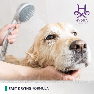 Golden Retriever being rinsed during bath using Hydra Groomers Moisturizing Shampoo 5L – fast drying formula by Pet Society professional grooming India