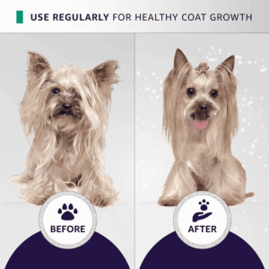 Before and after Yorkshire Terrier coat transformation using Hydra Groomers Moisturizing Shampoo – healthy coat growth with regular use