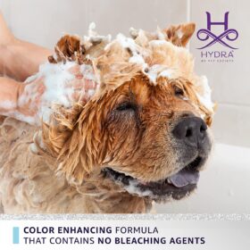 Chow Chow dog being shampooed with Hydra Groomers Whitening Shampoo – color enhancing formula with no bleaching agents by Pet Society India