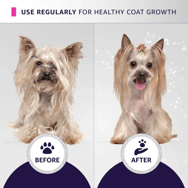Before and after Yorkshire Terrier coat transformation using Hydra Groomers Odour Neutralizing Shampoo – fresh healthy coat growth with regular use
