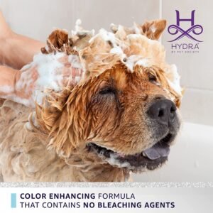 Chow Chow dog being shampooed with Hydra Groomers Whitening Shampoo – color enhancing formula with no bleaching agents by Pet Society India