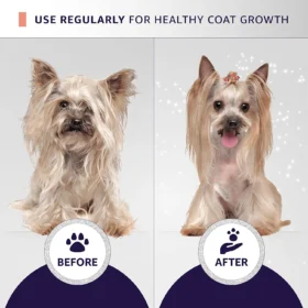 Before and after Yorkshire Terrier coat transformation using Hydra Groomers Moisturizing Conditioner 5L – healthy silky coat growth with regular professional use